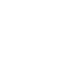 professionalisme professionalisme